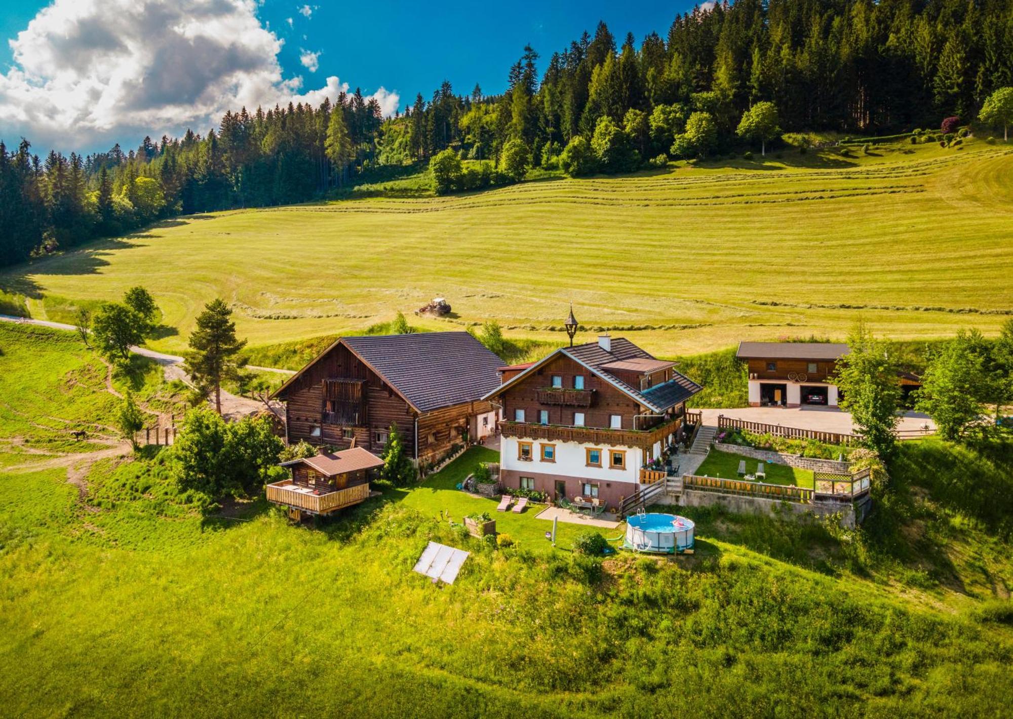 Gschwandtgut Urlaub Am Bauernhof Villa Schwemmberg Exterior photo